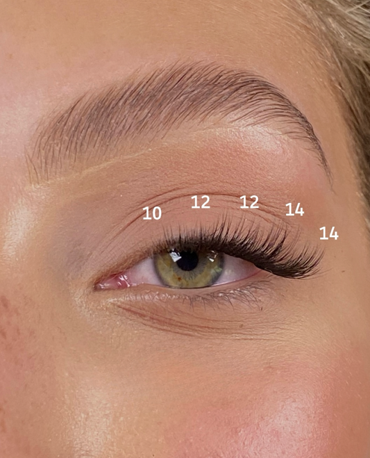 Lash Map like a pro
