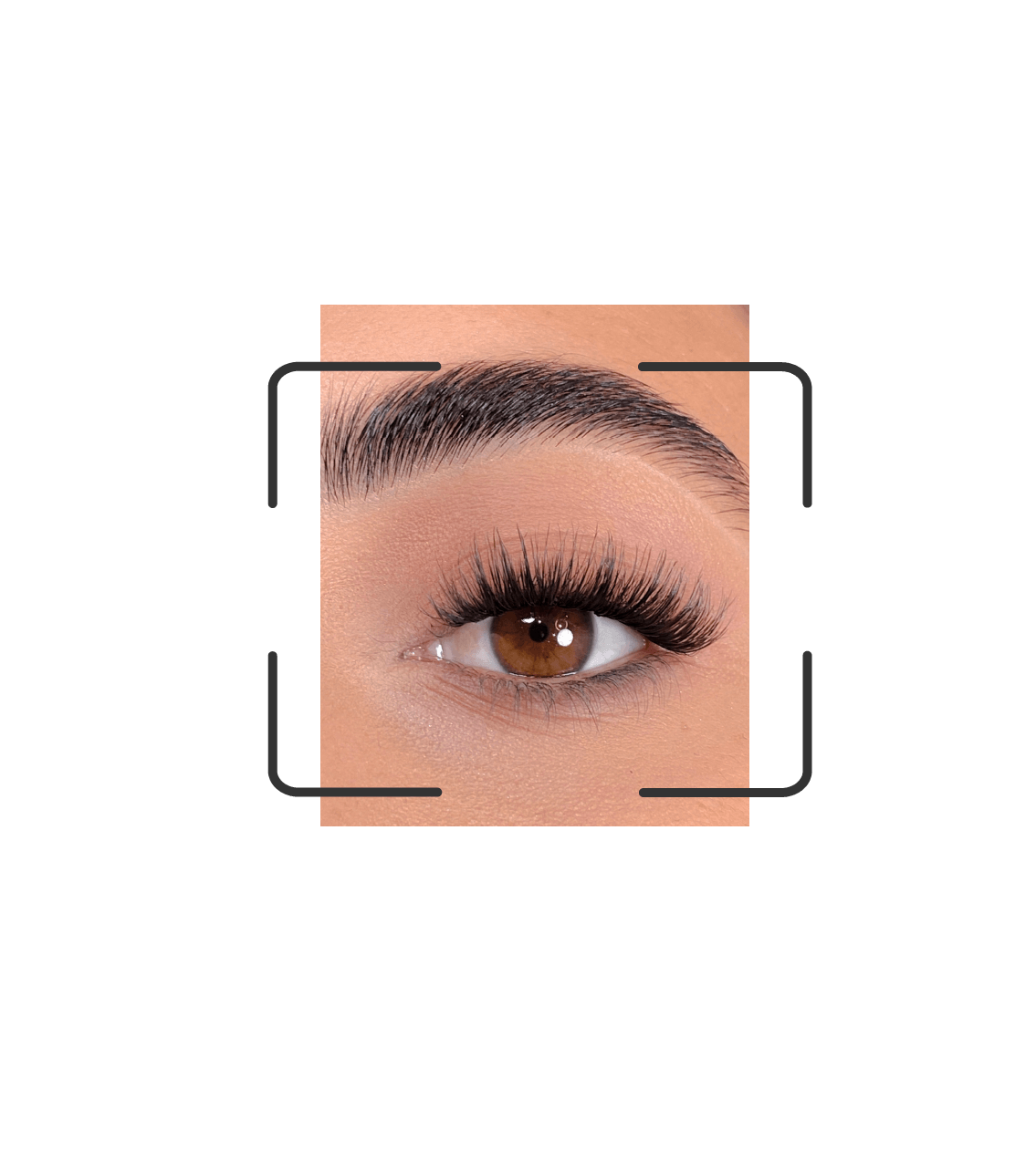 DIY lash segments: Go nightly