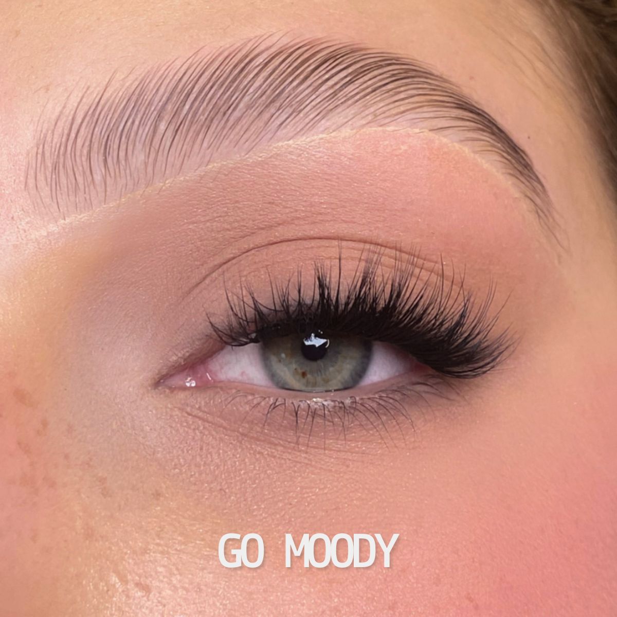 Totally Glueless Lash Packs - SEGMENTS