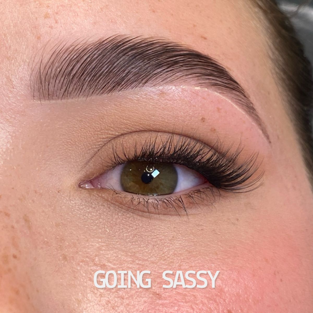 Totally Glueless Lash Packs - PREMAPPED