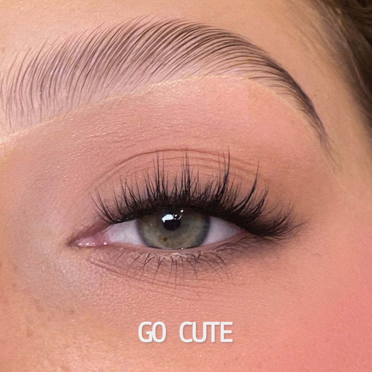 Totally Glueless Lash Packs - SEGMENTS