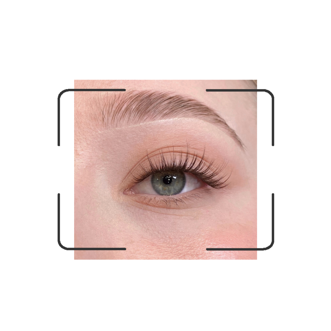 Go Sweet One - CHOCOLATE - C CURL