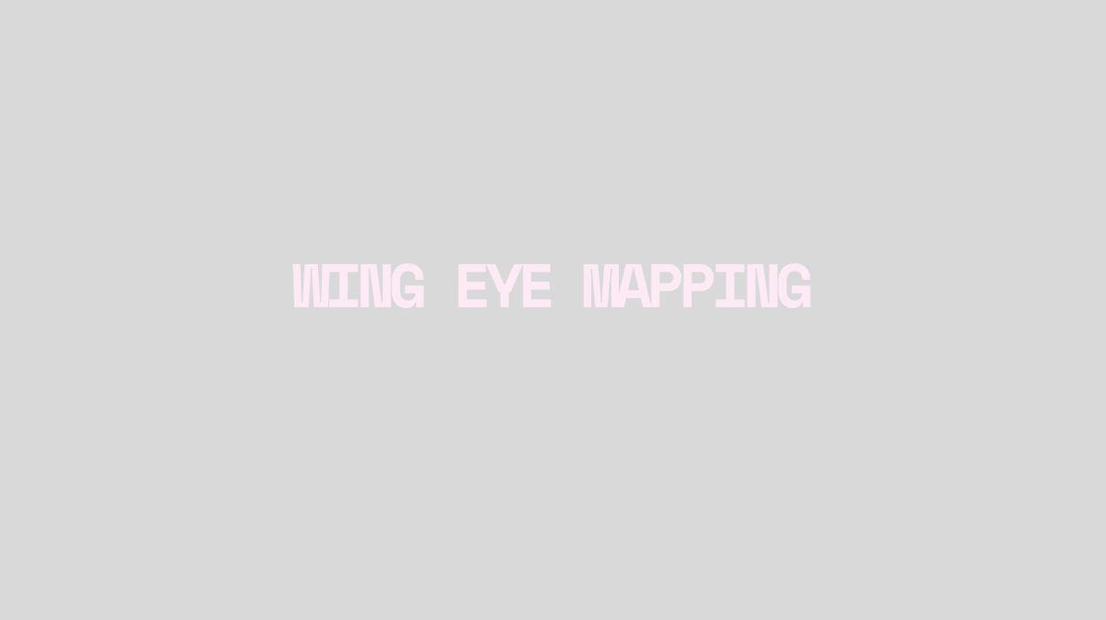 Wing eye mapping