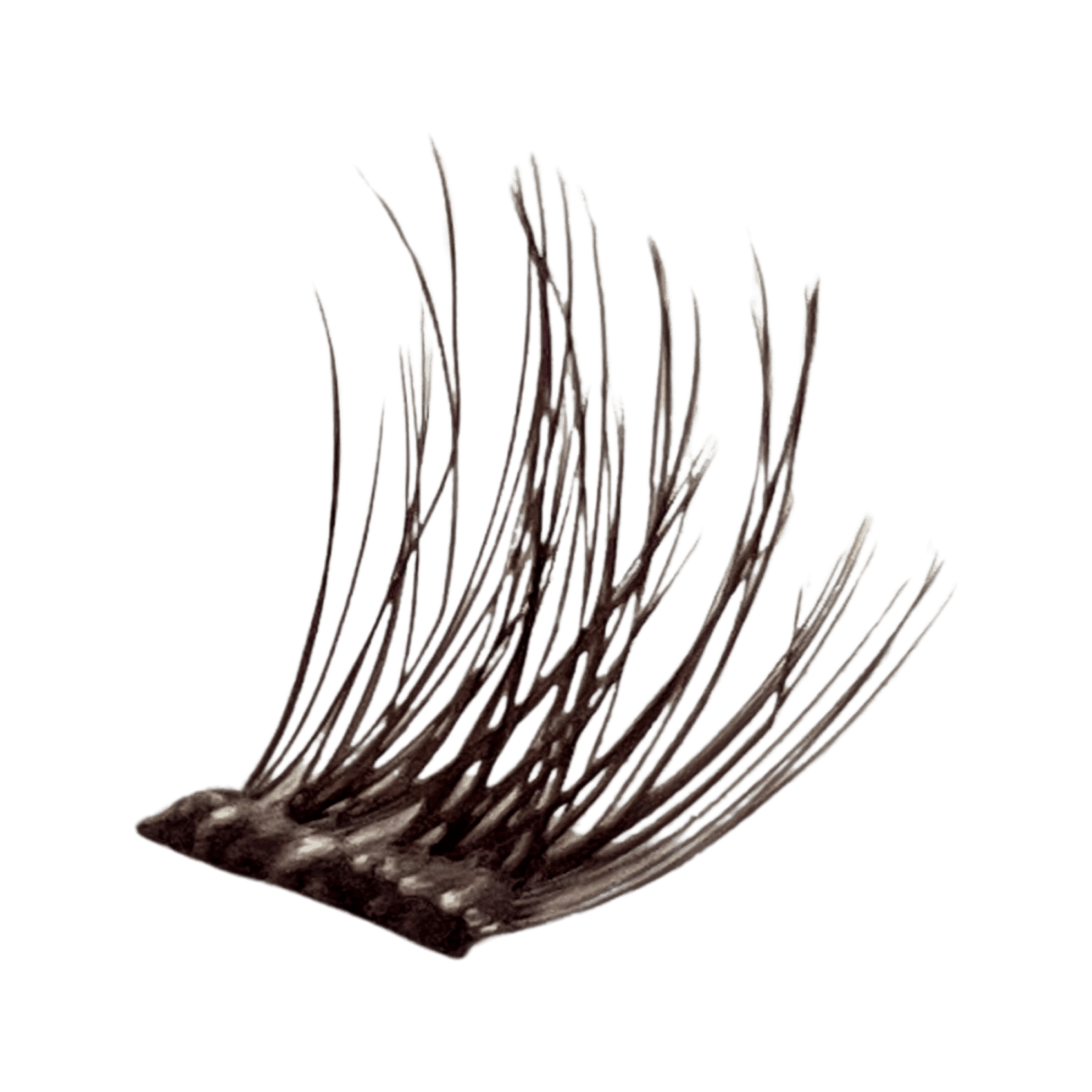 Go Lover - Chocolate - C CURL