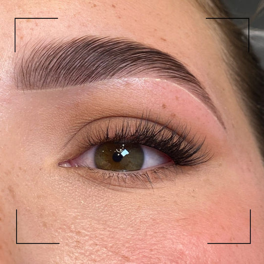 Close-up of an eye with long eyelashes and a well-groomed eyebrow.