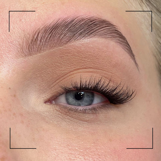Close-up of an eye with long eyelashes and a well-groomed eyebrow.