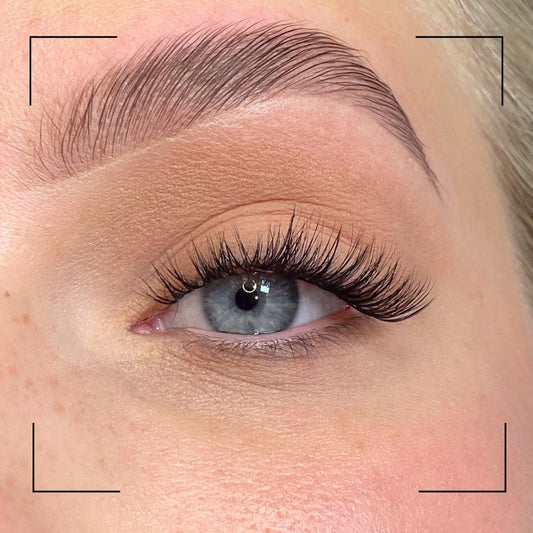 Close-up of an eye with long eyelashes and a well-groomed eyebrow.